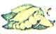 Peas: Plant in fall, winter or early spring. They like cool weather. Matures in 60-70 days.